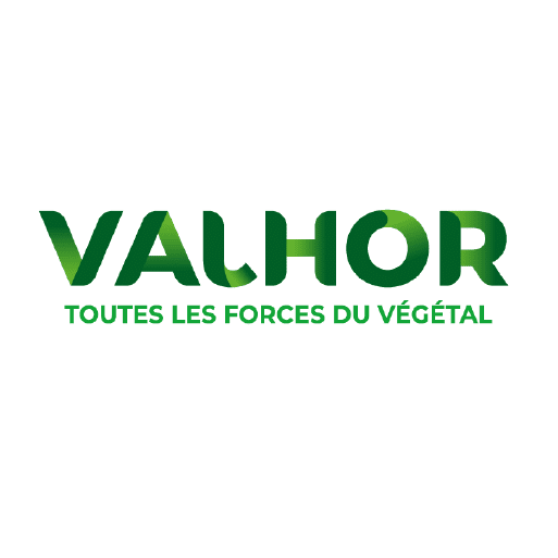 Plan de travail 30 copie 22_CAP2026